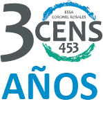 CENS 453